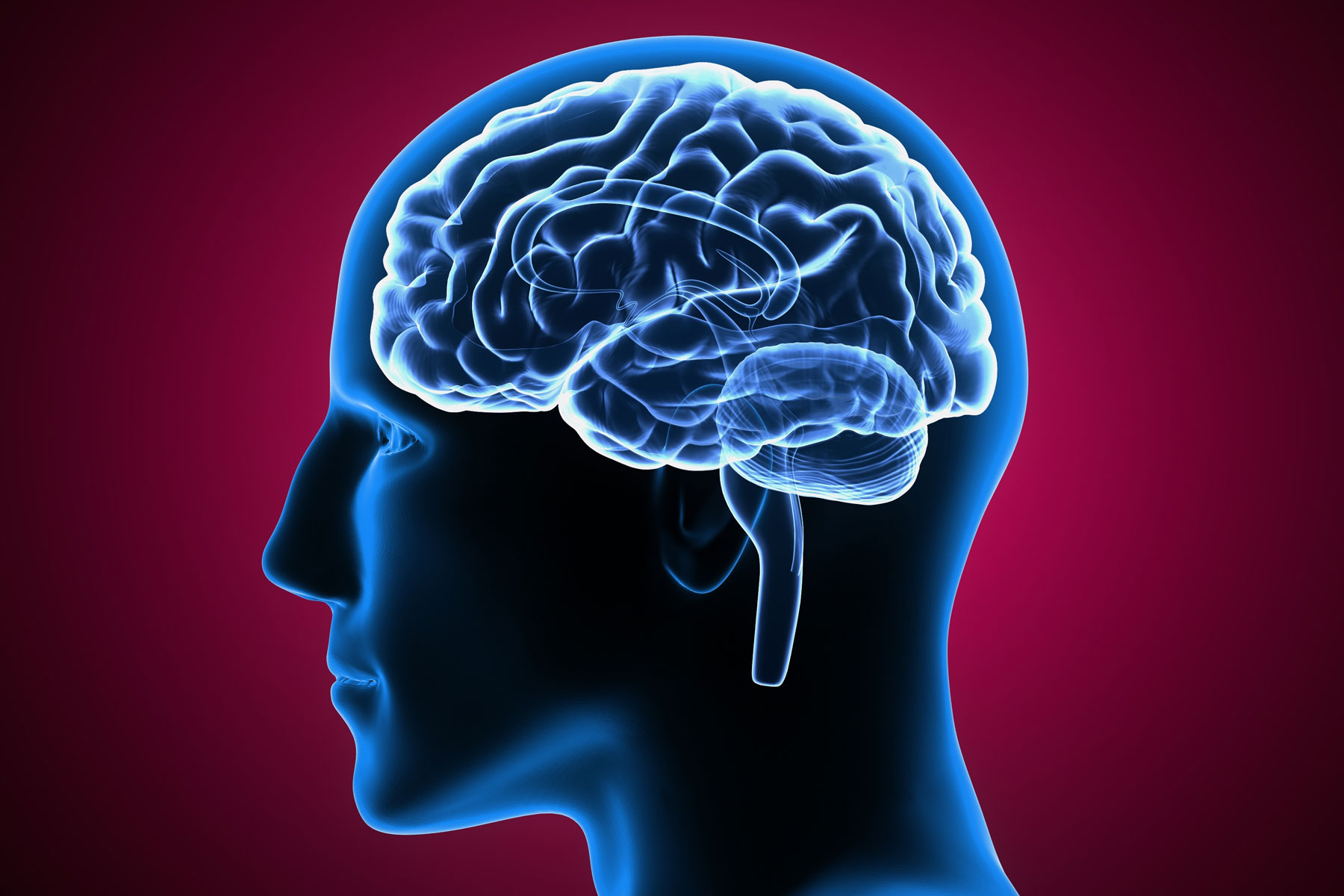 Cocaine and the Brain | Addiction Treatment | Wrightsville, PA